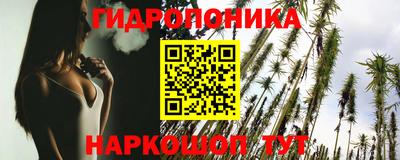 хмурый Гусь-Хрустальный