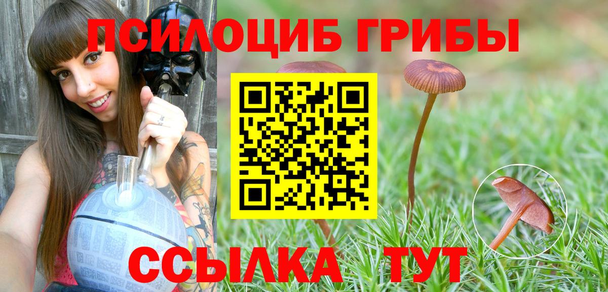 Галлюциногенные грибы Magic Shrooms Ижевск