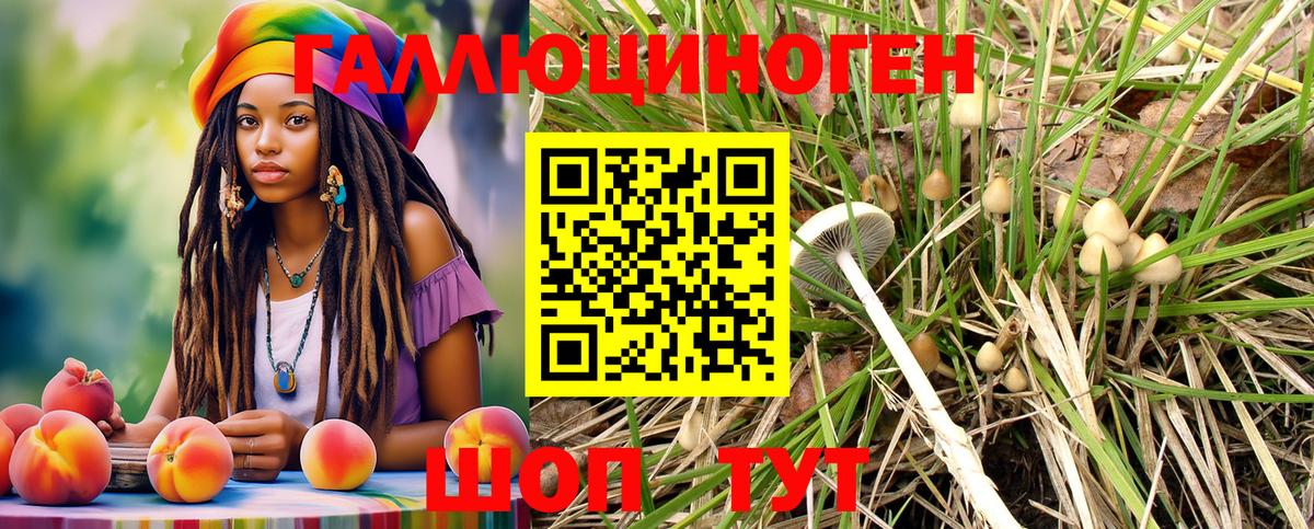 Псилоцибиновые грибы мицелий  Галлюциногенные грибы Psilocybe  Ижевск  Вход с VPN 